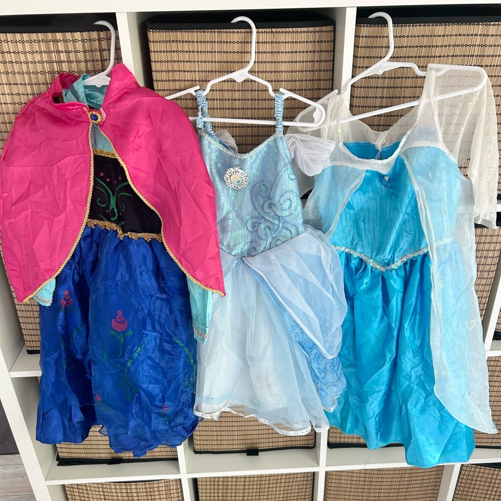 Princess Dresses or Costumes 4T